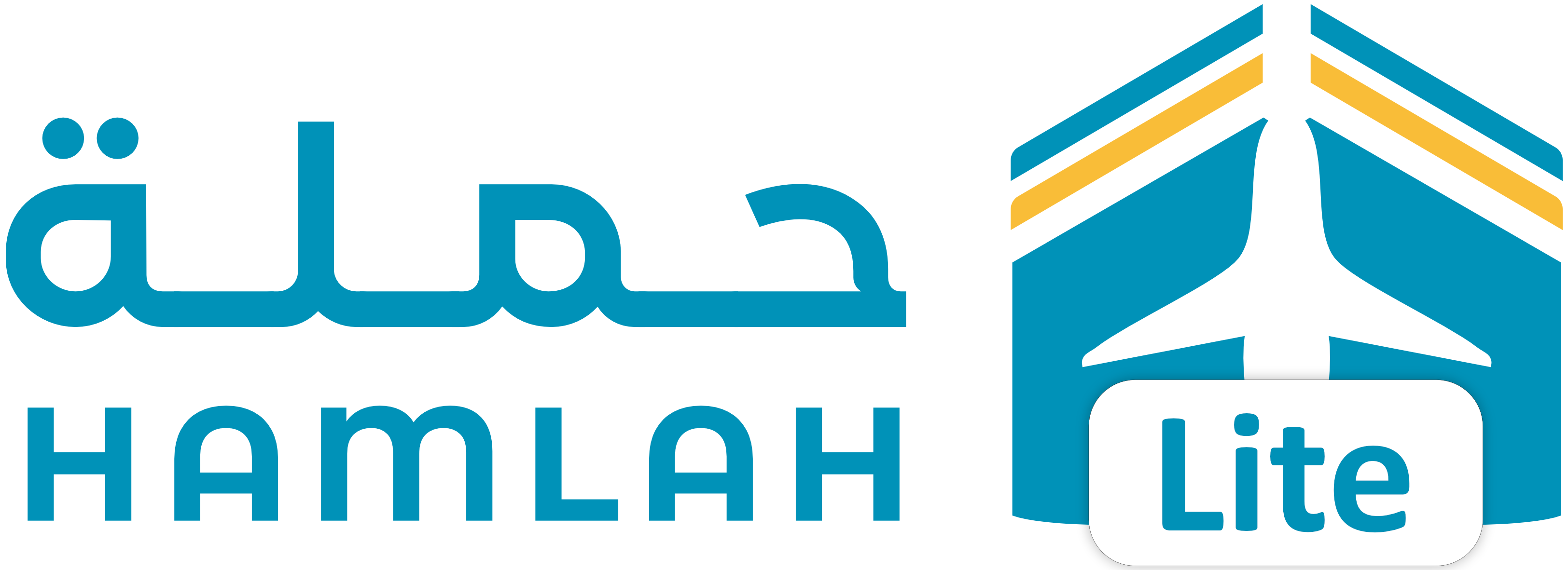 حملة لايت